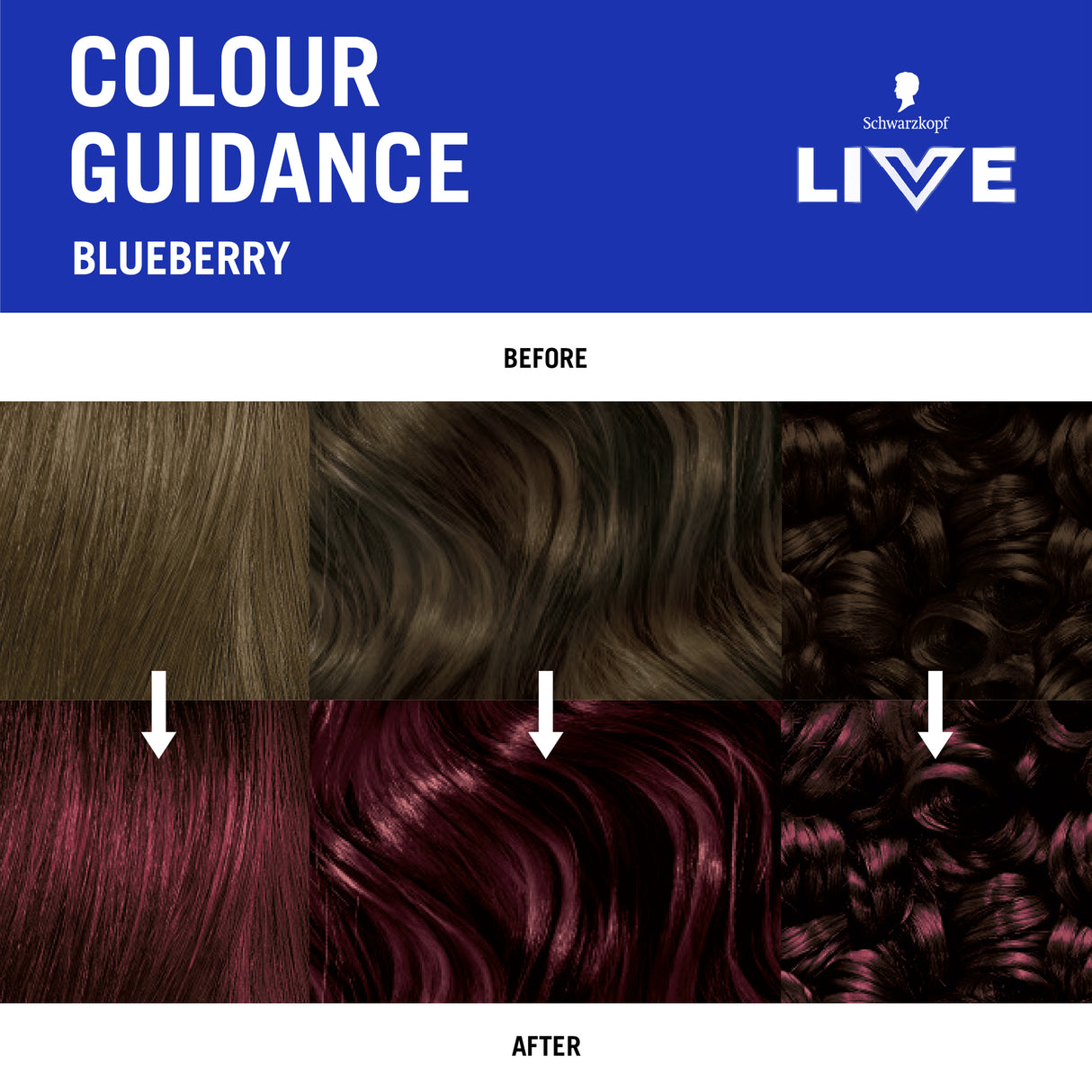 Schwarzkopf Live Colour Blueberry 75mL