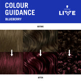 Schwarzkopf Live Colour Blueberry 75mL