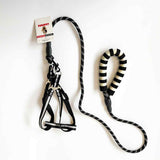 HB&Co Bungee Dog Lead Asst Colour