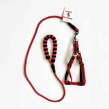 HB&Co Bungee Dog Lead Asst Colour