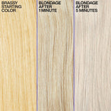 Redken Color Blondage Shampoo 300ml