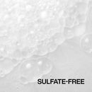 Redken Frizz Dismiss Shampoo 300ml