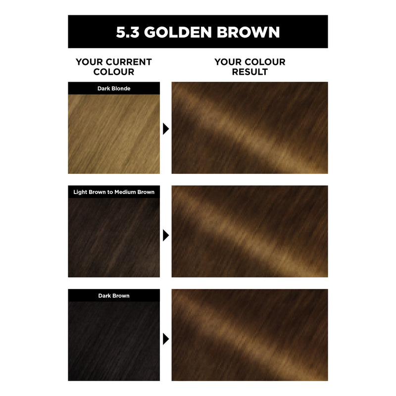 Garnier Olia Permanent Hair Colour - 5.3 Golden Brown (Ammonia Free, Oil Based)