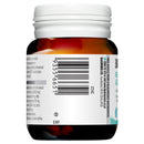 b2e621b0686665838ca584ceda949260