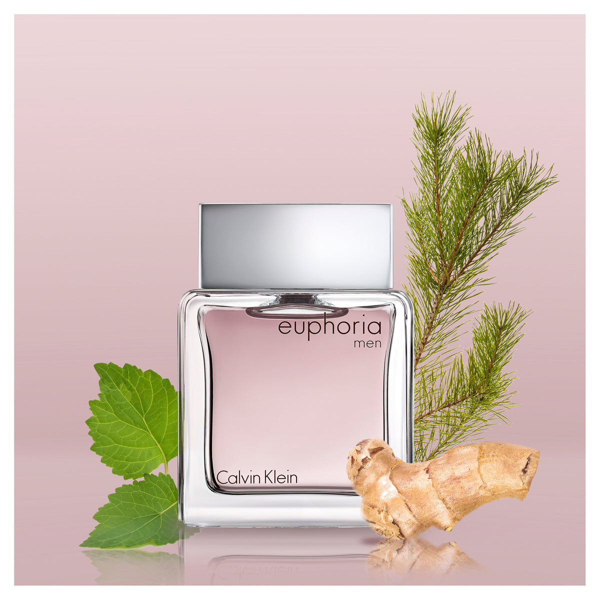 Calvin Klein Euphoria Men EDT 100ml