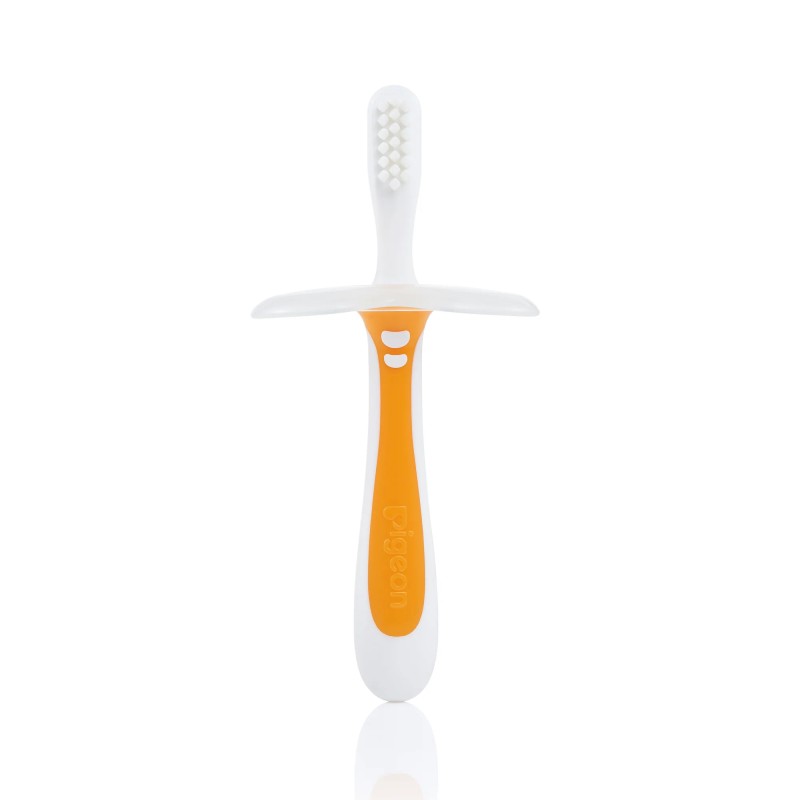 Pigeon Training Toothbrush Lesson 2 Orange