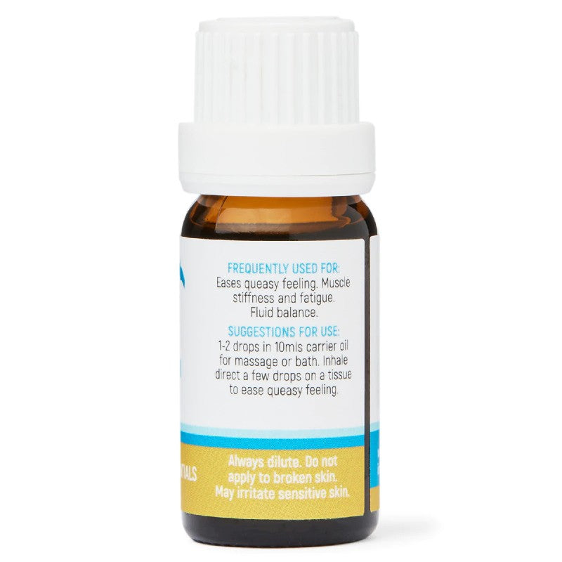 Ginger Dolphin Clinic Essential Oil 10ml