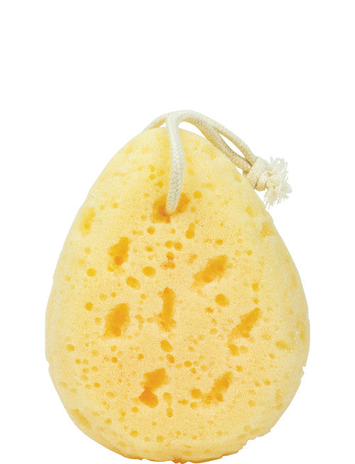 Simply Essential Luxe Bath Sponge