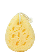 Simply Essential Luxe Bath Sponge
