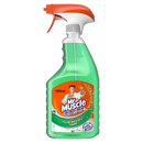 Mr Muscle Advanced Power Window & Glass 750ml