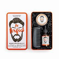TSTC Mr Perfect Beard Grooming kit